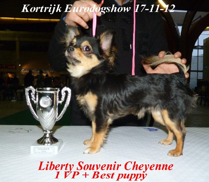 Liberty Souvenir Cheyenne