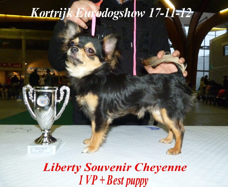 Liberty Souvenir Cheyenne