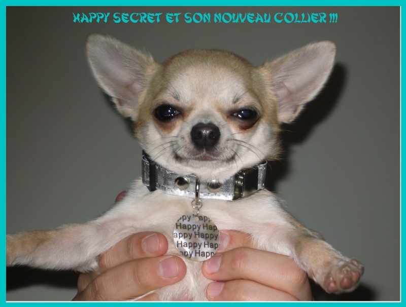 Happy secret Souvenir Cheyenne