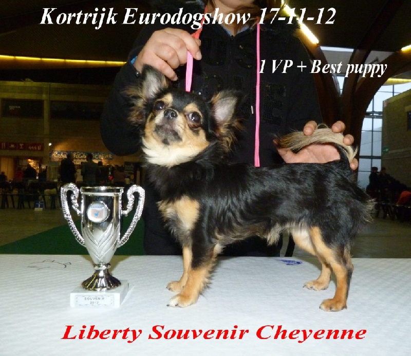 Liberty Souvenir Cheyenne